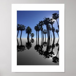 Sommar Oceanpalmer Reflektion Fotografi Poster