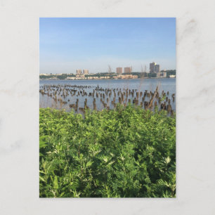 Sommar på Hudson NYC New York City Postcard Vykort