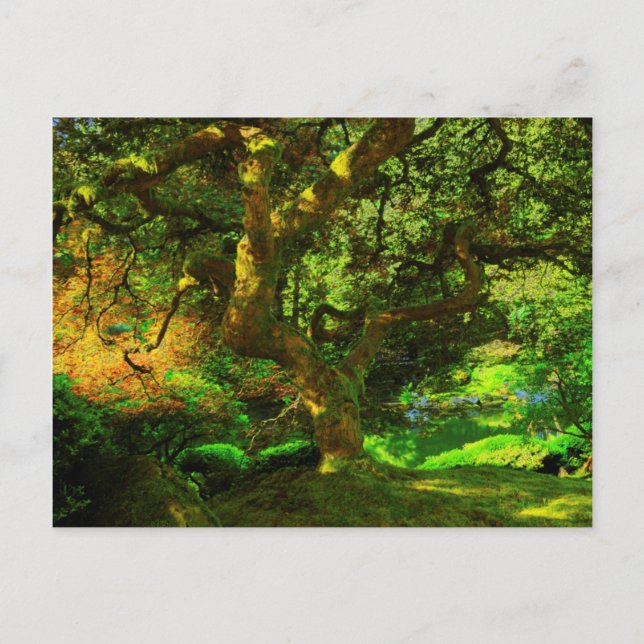 Sommar, Portland Japanska Garden, Portland Vykort (Framsida)