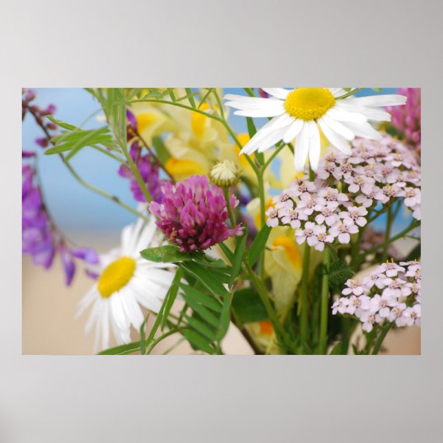 Sommar Poster (Framsidan)