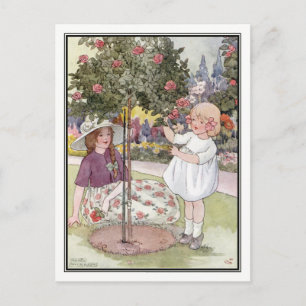 Sommar Ro av Anne Andersson Vykort
