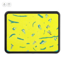 Sommar Roligt Hitch Cover