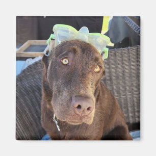 Sommar Roligt Lab Puppy Magnet