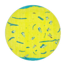 Sommar-Roligtens skärningspunkt