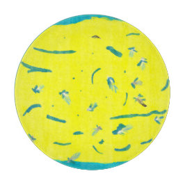 Sommar-Roligtens skärningspunkt