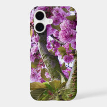 Sommar Rosa Blooming Träd Krona Photo - -