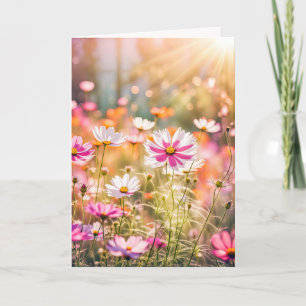 Sommar Rosa Cosmos Birthday Kort