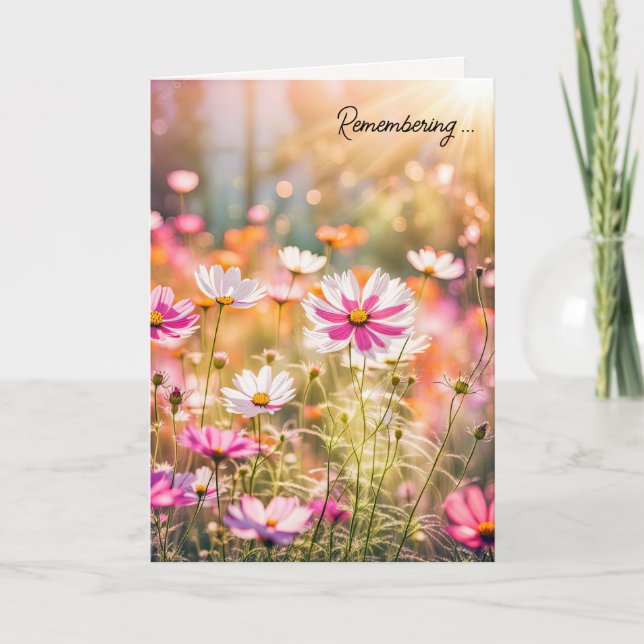 Sommar Rosa Cosmos för sympati Kort (Framsida)