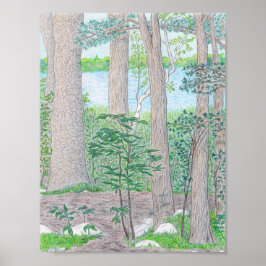 Sommar Sjö med Skogen Färgpenna Teckning Poster