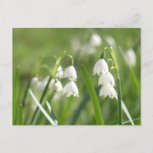 Sommar snöflingor DIY vykort