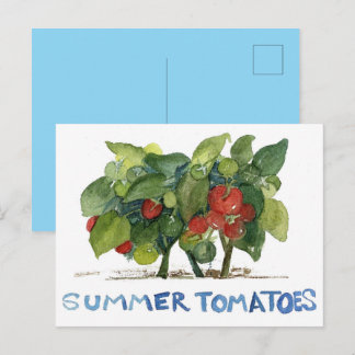 Sommar Tomater Frukt Grönsaksträdgård Pen Pal Vykort