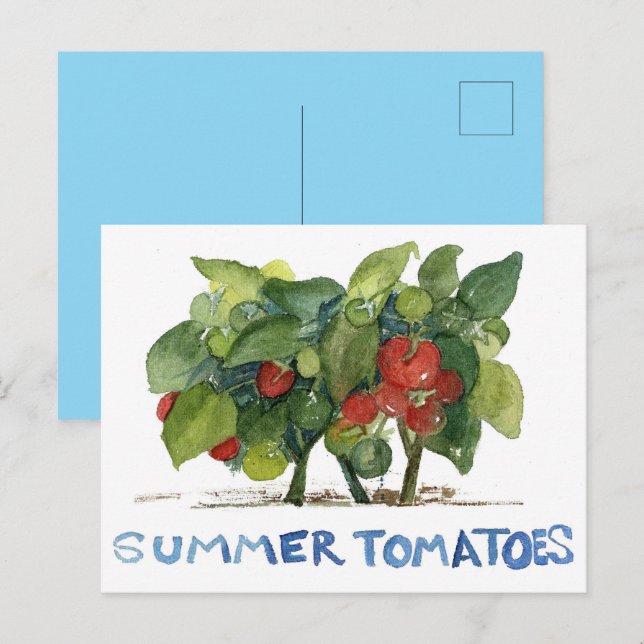 Sommar Tomater Frukt Grönsaksträdgård Pen Pal Vykort (Fram/baksida)