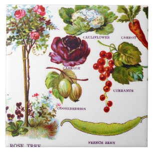 Sommar trädgårds- Botanicals Kakelplatta
