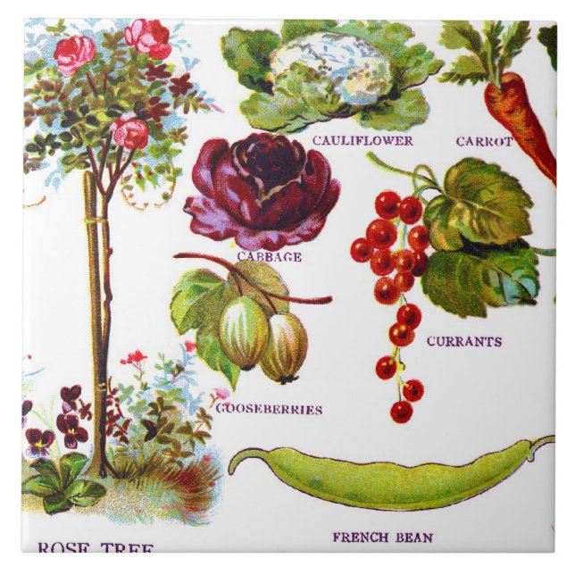 Sommar trädgårds- Botanicals Kakelplatta (Framsidan)
