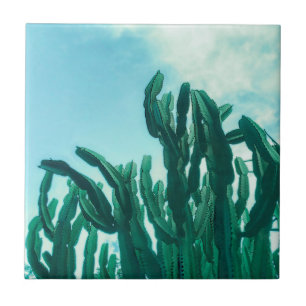 Sommar Vibes Handflatan Träd Cactus Blek Grönt Kakelplatta
