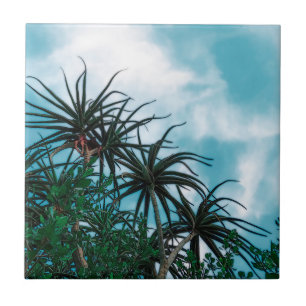 Sommar Vibes Handflatan Träd Cactus Blek Grönt Kakelplatta