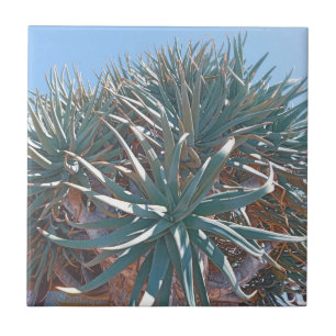 Sommar Vibes Handflatan Träd Cactus Blek Grönt Kakelplatta
