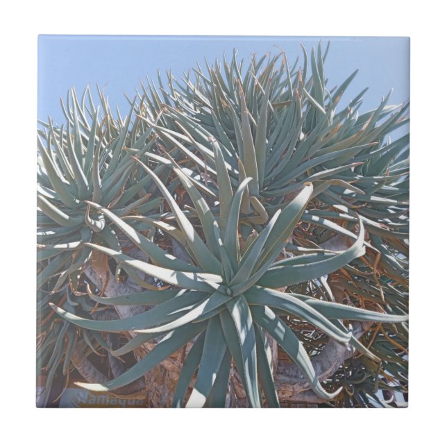 Sommar Vibes Handflatan Träd Cactus Blek Grönt Kakelplatta (Framsidan)