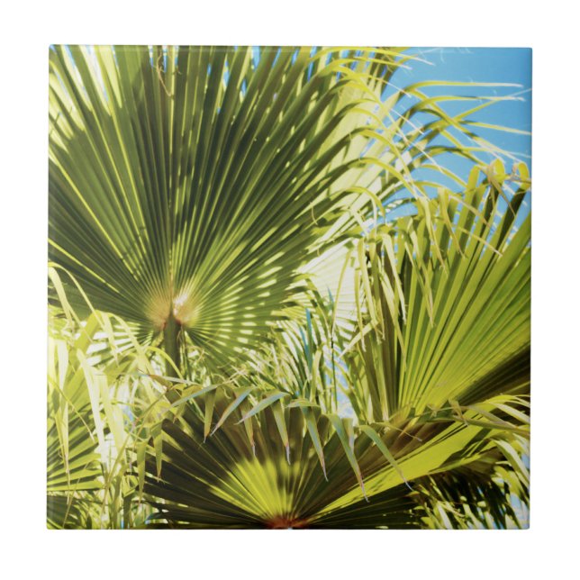 Sommar Vibes Handflatan Träd Löv Blek Grönt Kakelplatta (Framsidan)