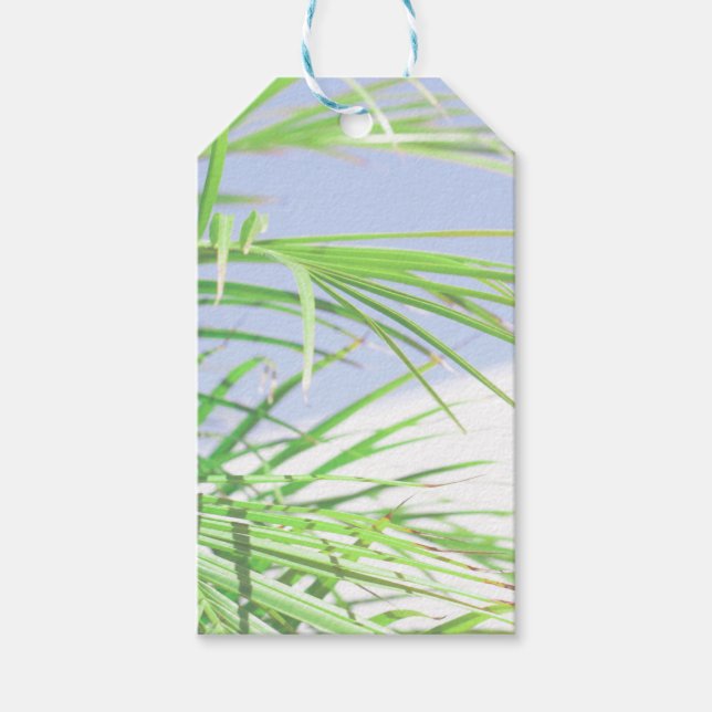 Sommar Vibes Handflatan Träd Löv Blek Grönt Presentetikett (Framsidan)