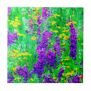 Sommar Wildblommor i Grönten Fält Kakelplatta
