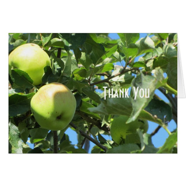 Sommaräpplen OBS Kort (Framsidan Horizontal)