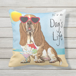 SommarBassethund Kudde