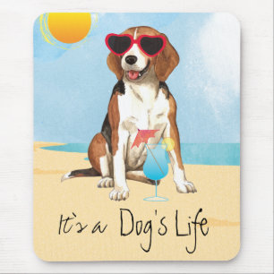 SommarBeagle Musmatta