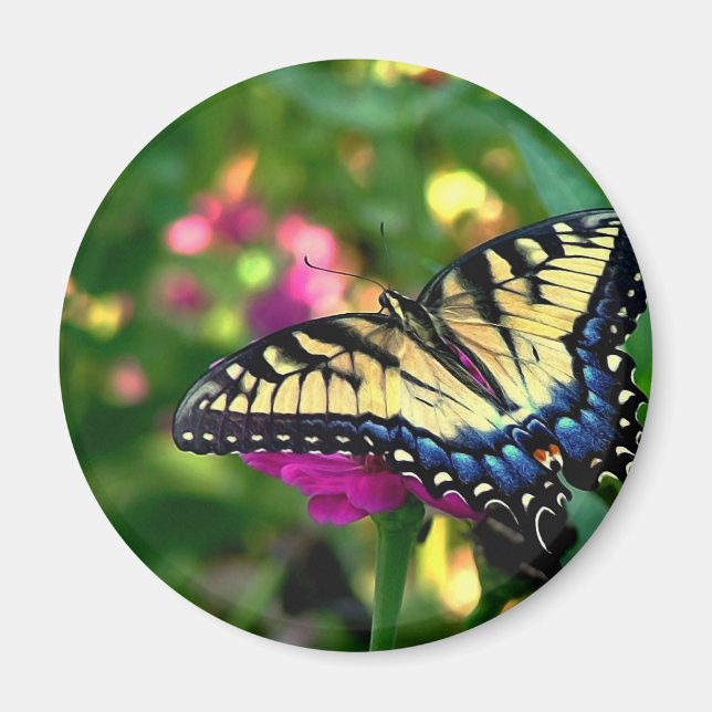 Sommarbesökare Magnet (Framsidan)