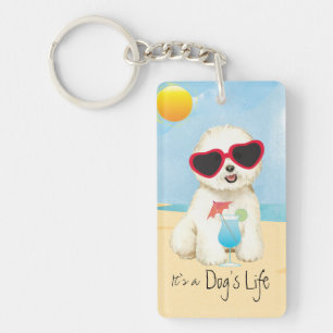 Sommarbichon Frise