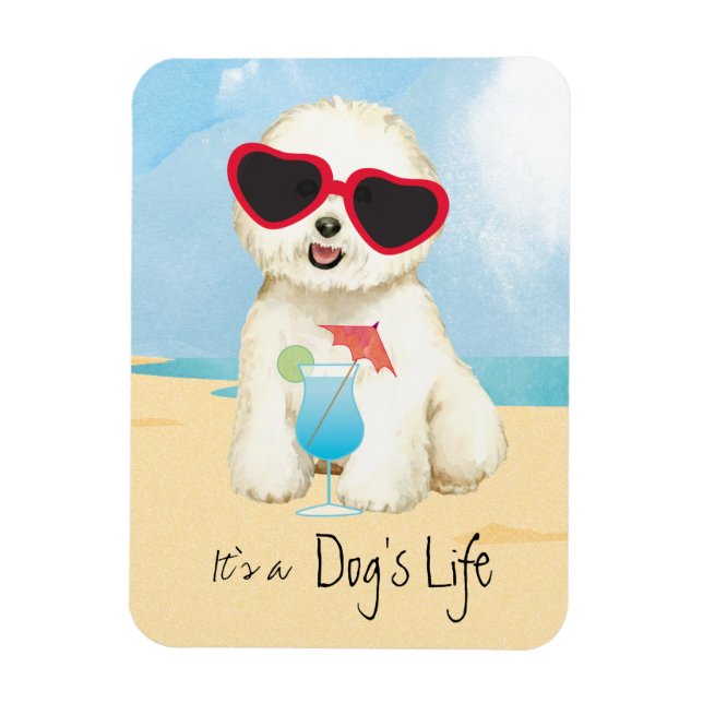 Sommarbichon Frise Magnet (Vertikal)