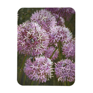 Sommarbin 2014 magnet