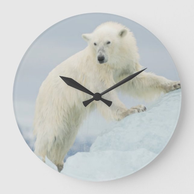 Sommarbjörn i polar stor klocka (Framsida)