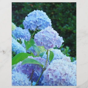 Sommarblå Hortensia Blomma ScrapBook papper