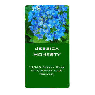 sommarblå hortensia blommor och dess gröna blad fraktsedel