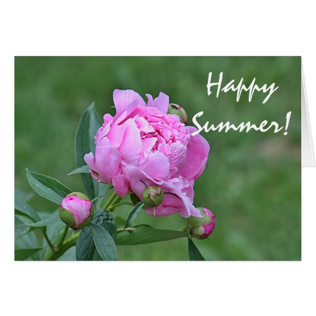 Sommarblommafoto Hälsningskort (Framsidan Horizontal)