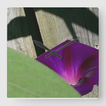 Sommarblommaväggen tar tid på