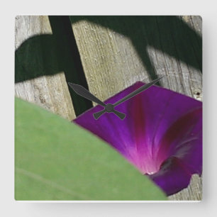 Sommarblommaväggen tar tid på fyrkantig klocka