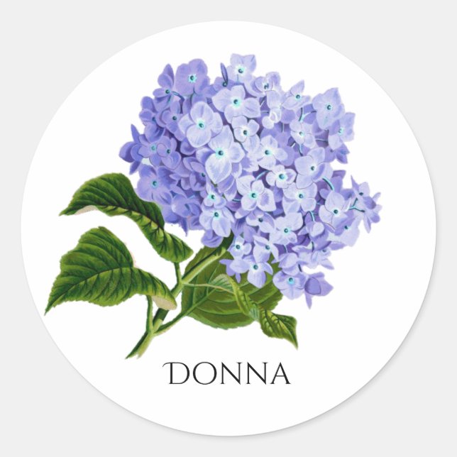 Sommarblommig Hydrangea   Runt Klistermärke (Framsida)