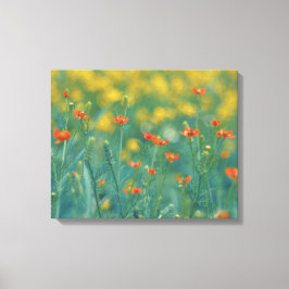 Sommarblommor (Blommigt Fält) (Röda blommor) Canvastryck