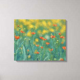 Sommarblommor (Blommigt Fält) (Röda blommor) Canvastryck