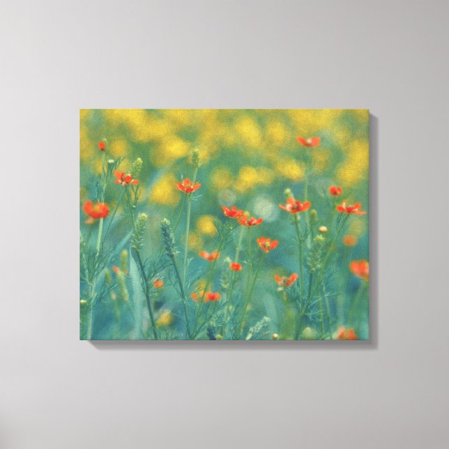 Sommarblommor (Blommigt Fält) (Röda blommor) Canvastryck (Framsida)