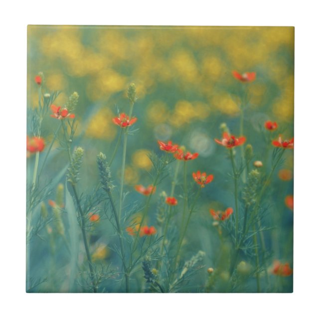 Sommarblommor (Blommigt Fält) (Röda blommor) Kakelplatta (Framsidan)