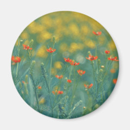 Sommarblommor (Blommigt Fält) (Röda blommor) Magnet