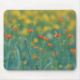 Sommarblommor (Blommigt Fält) (Röda blommor) Musmatta