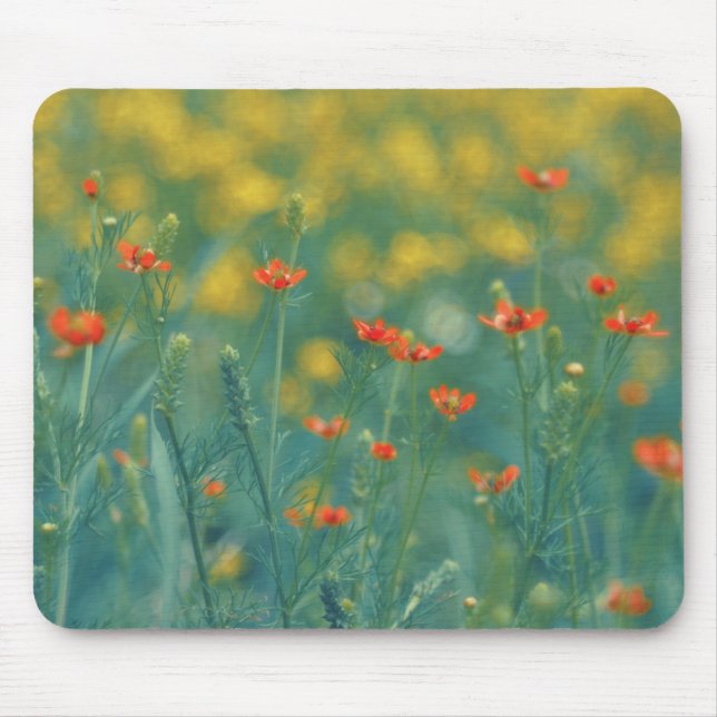 Sommarblommor (Blommigt Fält) (Röda blommor) Musmatta (Framsidan)