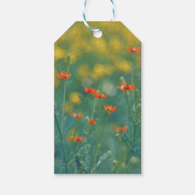 Sommarblommor (Blommigt Fält) (Röda blommor) Presentetikett (Framsidan)