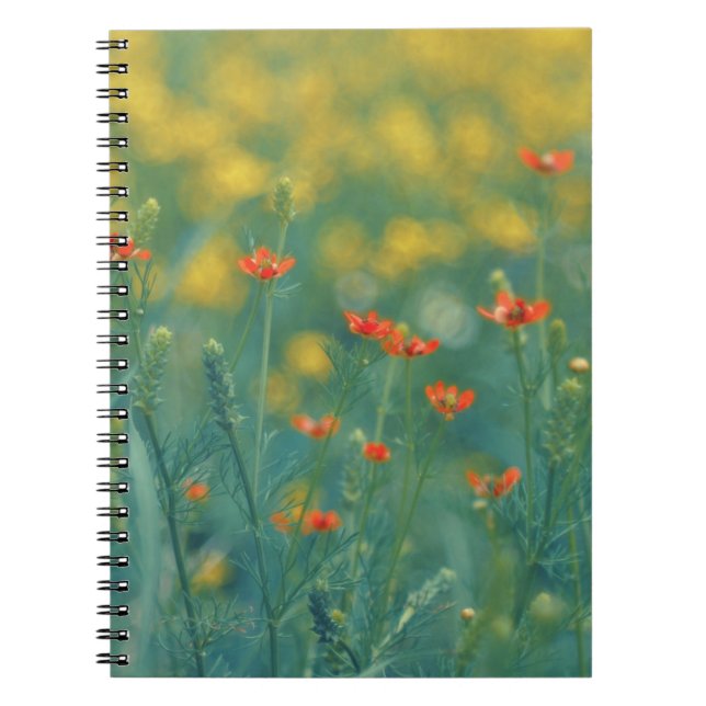 Sommarblommor (blomsterfält) (röda blommor) anteckningsbok (Framsidan)