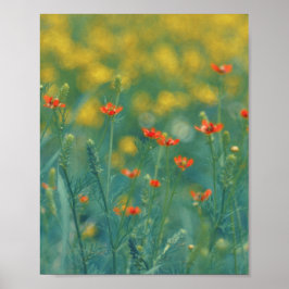 Sommarblommor (blomsterfält) (röda blommor) poster