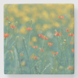 Sommarblommor (blomsterfält) (röda blommor) stenunderlägg